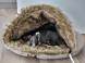 Panier pour chien igloo