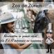 Voyage au zoo de Zurich
