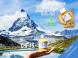 Ginger Elixir : 100% jus de gingembre bio