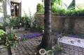 Stunning triplex in Old town, 2BR, 50m2garden