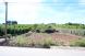 Vente terrain 3 200 m2 à Armamar (Portugal)