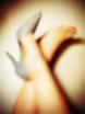 Pieds de latine