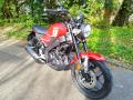 🏍️ Yamaha XSR125 acheté en juin 2024 – comme neuve, 2 000 km, Garantie 4 ans