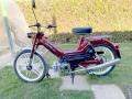 Velomoteur PUch maxi S révisé rénové 