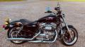 HARLEY DAVIDSON Sporster XL883L