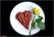 Photographe pour RESTAURANT, Hôtel, Culinaire, Gastronomie - Genève, Fribourg, Neuchâtel, Sion, Martigny, Lausanne, Coppet, Nyon, Morges, Pully, Vevey, Montreux, Aigle, Echallens, Payerne